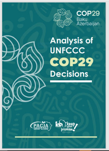 Analysis of COP 29 UNFCCC  Decisions