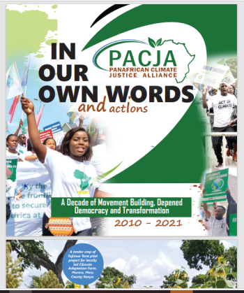 In Our Own Words And Actions: A Decade of Movement Building, Deepened Democracy and Transformation 2010-2021