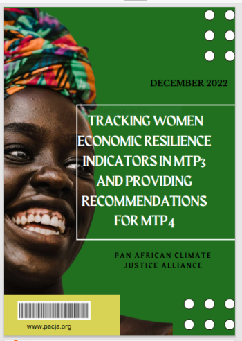 Tracking Women Economic Resilience Indicators INMTP3 AND Providing Recommendations FORMTP4