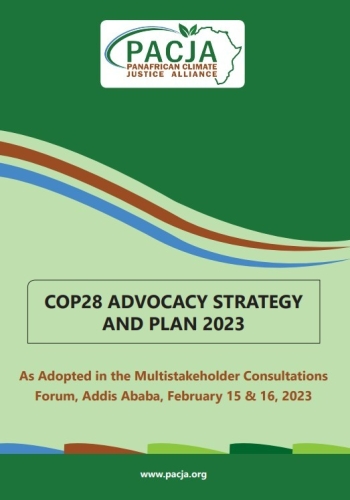 COP28 Advocacy Strategy and Plan 2023