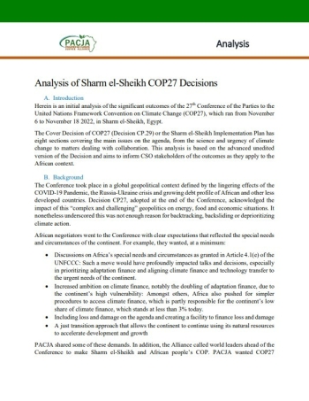 Analysis of Sharm el-Sheikh COP27 Decisions