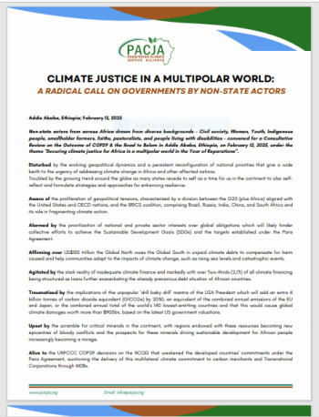 Climate Justice In A Multipolar World: A Radical Call On Governments By Non-State Actors