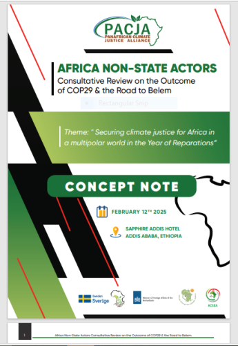 Africa Non-State Actors: Consultative Review on the Outcome  of COP29 & the Road to Belem