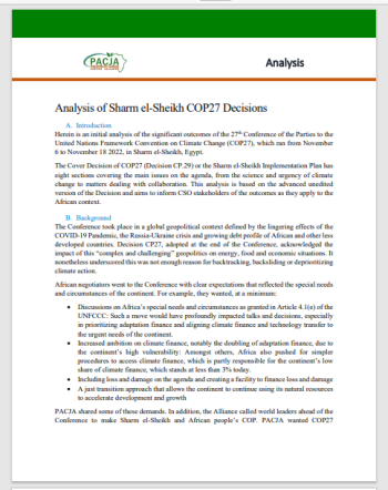 Analysis of Sharm el-Sheikh COP27 Decisions